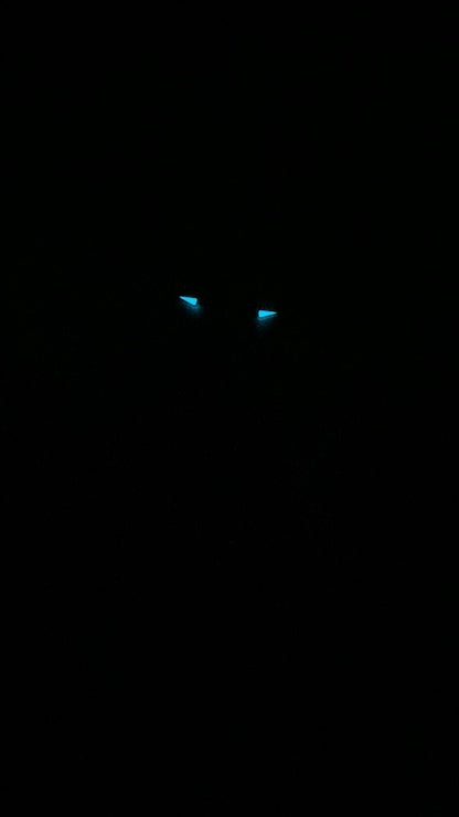 Mark Chen 02N · mother-of-pearl dial