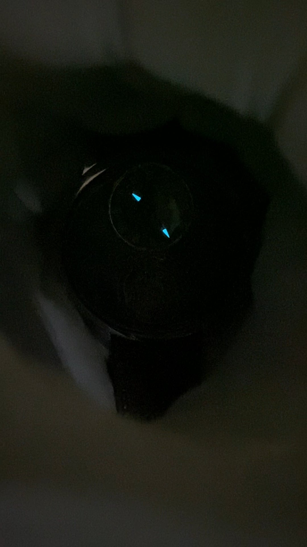 Mark Chen 02N · mother-of-pearl dial