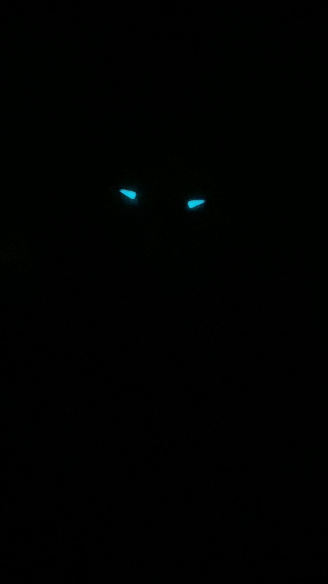 Mark Chen 02 · prestige blue · regulator nails